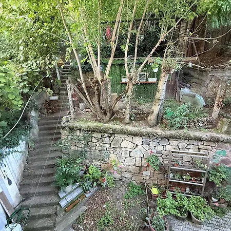 Park & Somes River View Apartman Kolozsvár