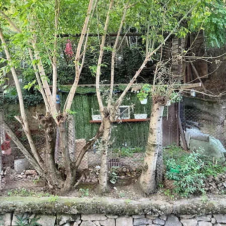 Park & Somes River View *