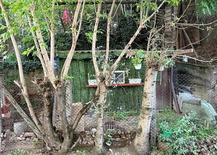 Park & Somes River View *